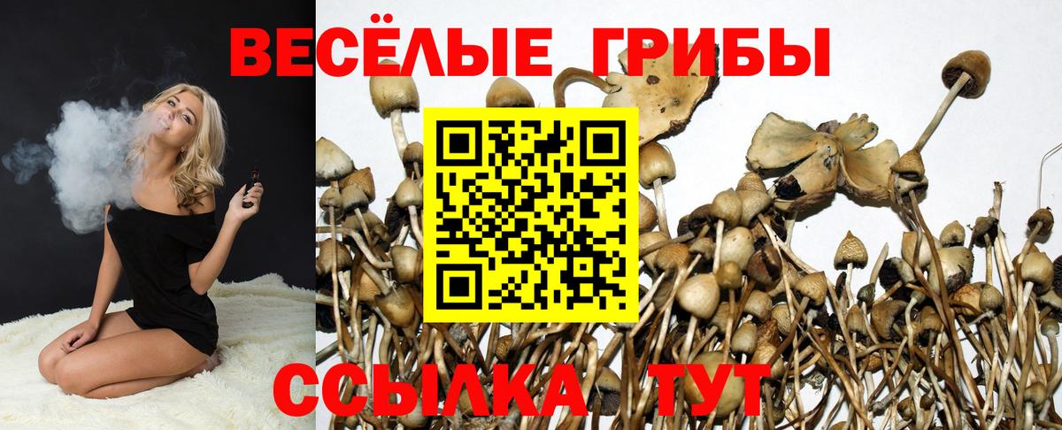 Псилоцибиновые грибы мицелий Мончегорск